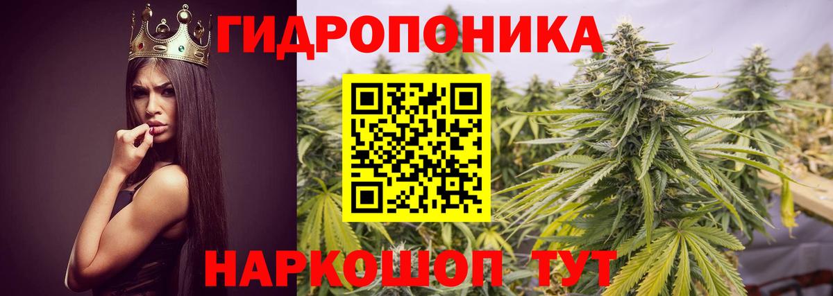 Конопля семена Сокол